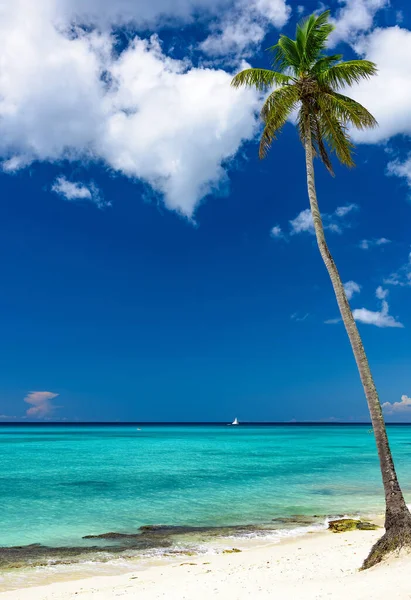 Paraíso playa tropical —  Fotos de Stock