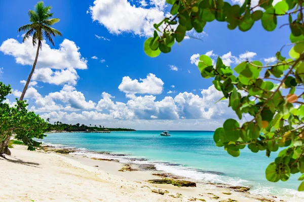 Paradise tropisk strand — Stockfoto