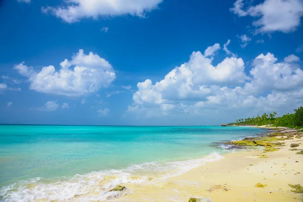 Mar dei Caraibi Repubblica Dominicana turchese — Foto Stock