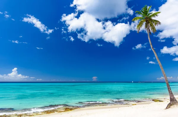 加勒比海神奇天堂海滩 — 图库照片