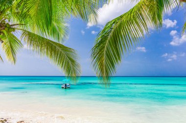 Tekne Karayip deniz plajı