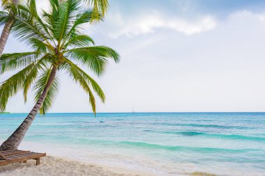 Palm okyanus gökyüzü