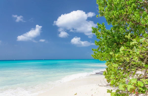 Spiaggia paradisiaca del mare dei Caraibi — Foto Stock