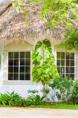 palm dallarında yapılan bir çatı ile ev