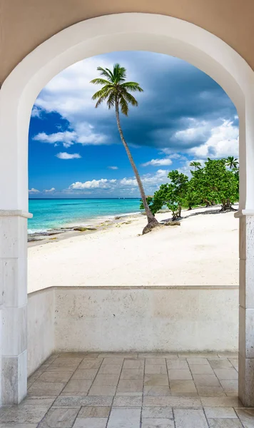 Deur open palm beach — Stockfoto