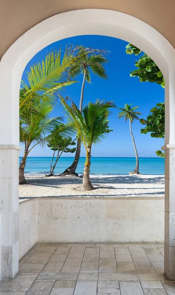 Deur open palm beach — Stockfoto