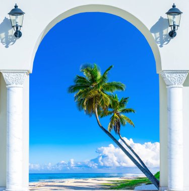 Kapıyı açık palm beach