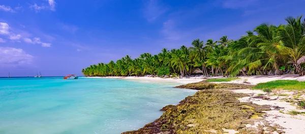 Paradise tropisk strand — Stockfoto