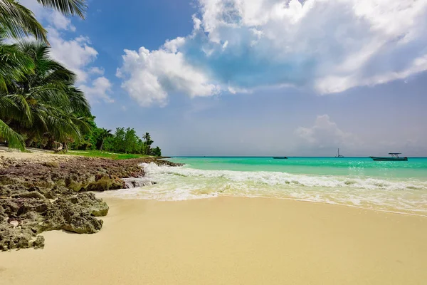 Przyciemniane fantastyczny krajobraz karaibski wybrzeża — Zdjęcie stockowe