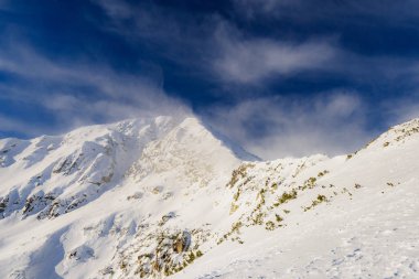 kış manzarası dağ ormanı karı