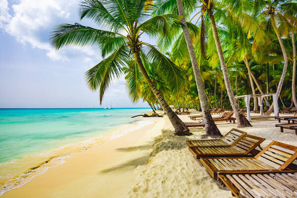 Group deck chairs under an umbrella on a sandy beach caribbean sea