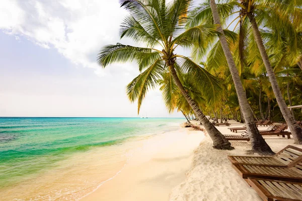 Group Deck Chairs Umbrella Sandy Beach Caribbean Sea — Stock Photo, Image