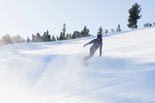 Bulgaria Bansko Febrero 2020 Esquiador Cabalgando Por Enorme Campo Nieve —  Fotos de Stock