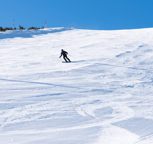Bulgaria. Bansko. 10 February 2020.  Skier riding down the huge snowfield splashing powder snow
