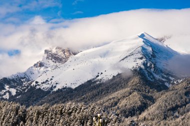 Kar köknar ağaçları dağ zirveleri arka plan üzerinde kaplı. Pitoresk karlı kış manzara panoramik manzaralı.