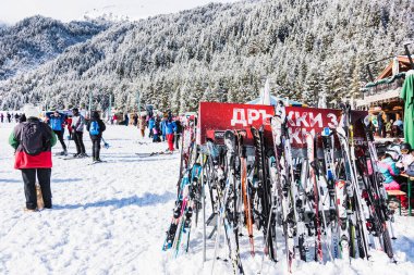 Bulgaristan. Bansko. 12 Şubat 20.Bansko kayak istasyonu, Banderishka Polyana 'da Kolarski kayak asansörü, kayak pistlerinde ve dağlarda kayakçılar. Çam ağaçlarıyla, millet. Sno