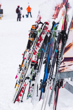 Bulgaristan. Bansko. 12 Şubat 20.Bansko kayak istasyonu, Banderishka Polyana 'da Kolarski kayak asansörü, kayak pistlerinde ve dağlarda kayakçılar. Çam ağaçlarıyla, millet. Sno