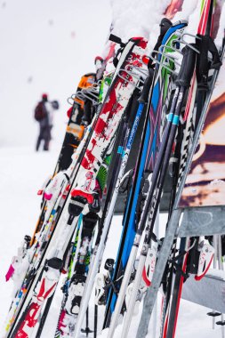 Bulgaristan. Bansko. 12 Şubat 20.Bansko kayak istasyonu, Banderishka Polyana 'da Kolarski kayak asansörü, kayak pistlerinde ve dağlarda kayakçılar. Çam ağaçlarıyla, millet. Sno