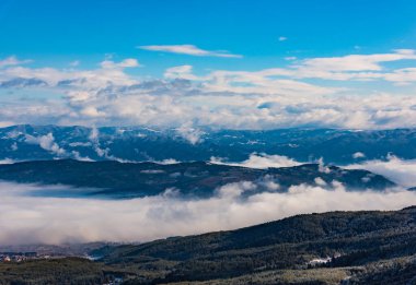 Hill manzara çam ağaçları kar kış ile kaplı