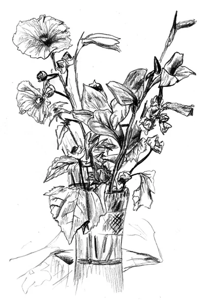 Ilustracja kwiat rysunek sztuka — Zdjęcie stockowe