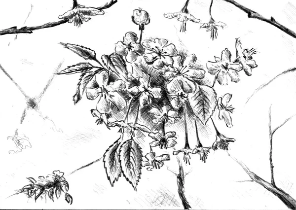 Flori desen ilustrație de artă — Fotografie, imagine de stoc