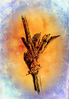 Sanat illüstrasyonu çiçekli klasik arkaplan