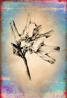 Sanat illüstrasyonu çiçekli klasik arkaplan