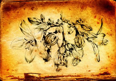 Sanat illüstrasyonu çiçekli klasik arkaplan