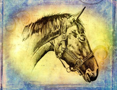 serbest el at baş sanat illüstrasyon