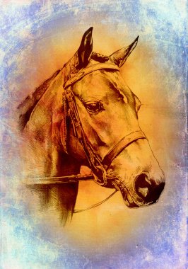 serbest el at baş sanat illüstrasyon