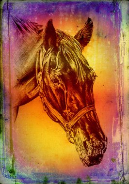 serbest el at baş sanat illüstrasyon