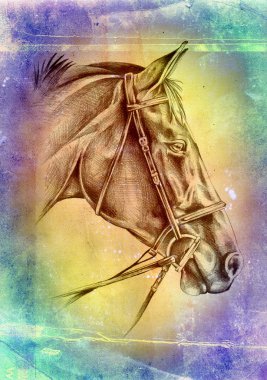 serbest el at baş sanat illüstrasyon