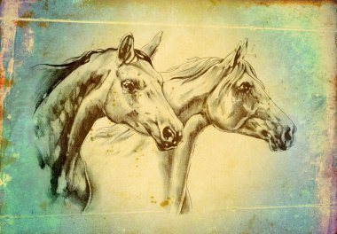 serbest el at baş sanat illüstrasyon