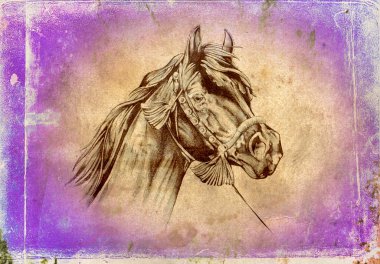 serbest el at baş sanat illüstrasyon