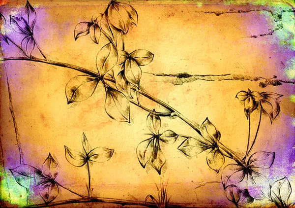 Vintage Hintergrund mit Kunst Illustration Blume — Stockfoto