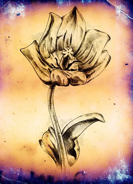 Vintage bakgrund med konst illustration blomma — Stockfoto