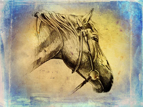 Ilustração de arte cabeça de cavalo mão livre — Fotografia de Stock