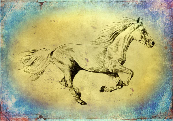 Illustration d'art tête de cheval à main levée — Photo