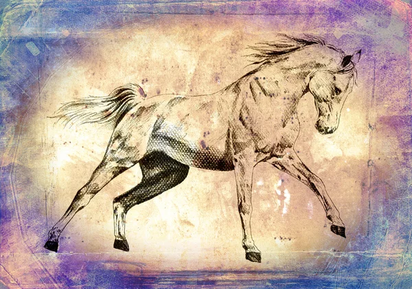 Volné koňské hlavy umění ilustrace — Stock fotografie