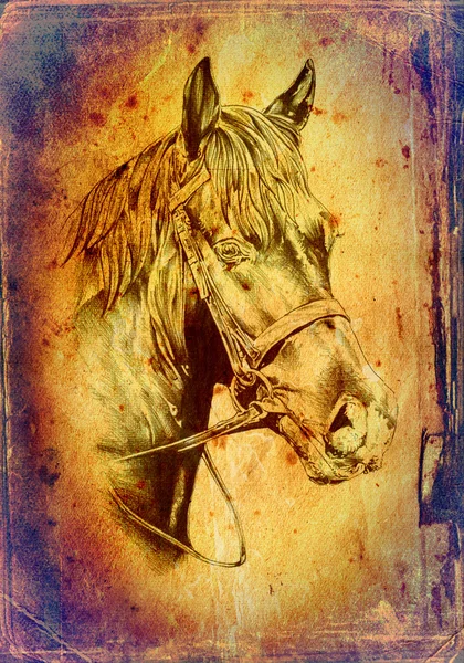 freehand horse head art illustration