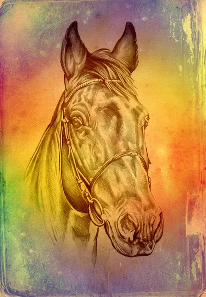 FreeHand paard hoofd kunst illustratie — Stockfoto
