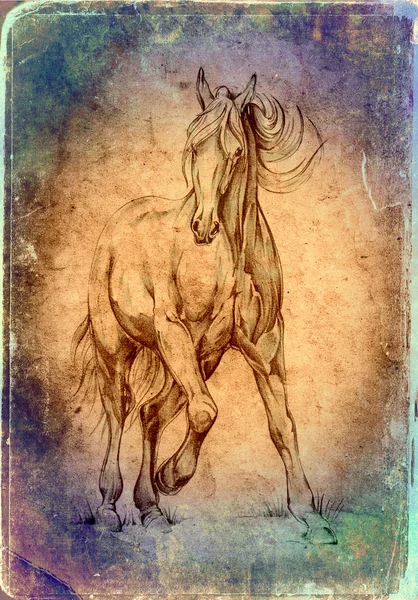 Illustration d'art tête de cheval à main levée — Photo