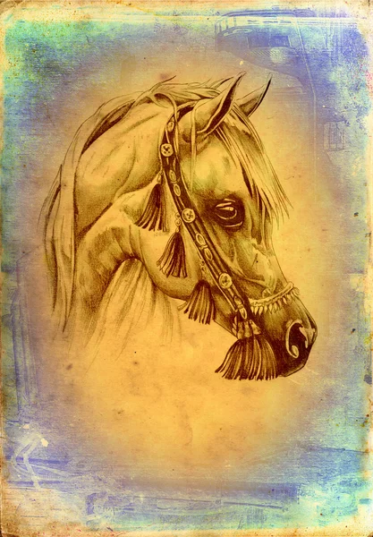 자유형 말 머리 예술 그림 — 스톡 사진