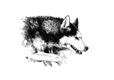Komik köpek sanat illüstrasyon