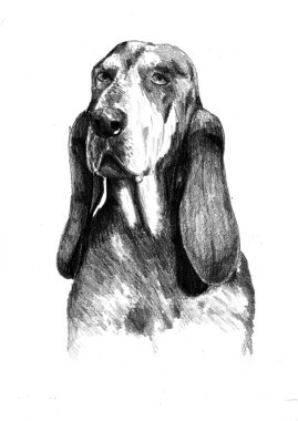 Komik köpek sanat illüstrasyon