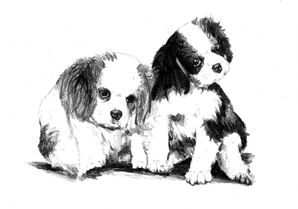 Rolig hund konst illustration — Stockfoto