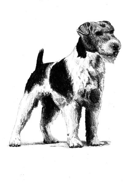 Lustige Hundekunst-Illustration — Stockfoto