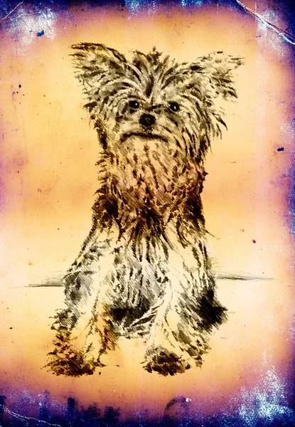 Komik köpek sanat illüstrasyon antika arka plan üzerinde — Stok fotoğraf