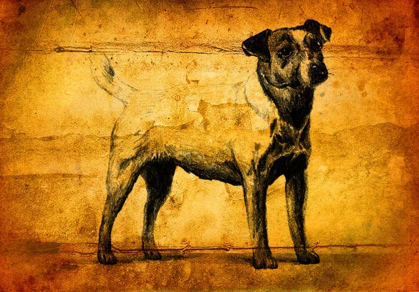 Engraçado cão arte ilustração no fundo vintage — Fotografia de Stock