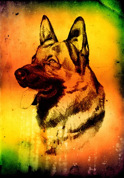 Engraçado cão arte ilustração no fundo vintage — Fotografia de Stock